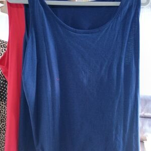 Classic Red And Blue Sleeveless Top